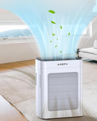 Best Air Purifier for Your Home